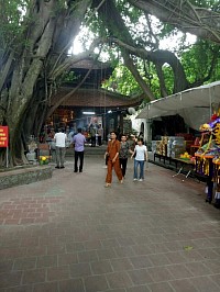 Đền Mẫu.