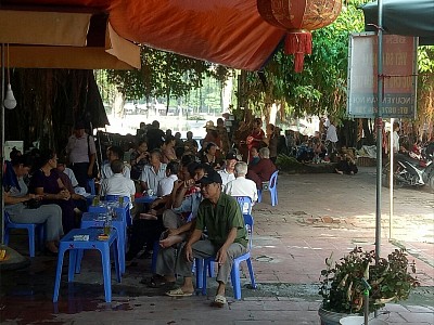 Nghỉ ngơi thư giãn dưới bóng mát cổ thụ già.