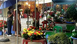 1/8 (bính ty nhật tân dậu nguyệt quý mão niên.
