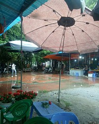 Lại một ngày mưa.