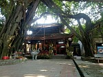 Tp Hưng Yên