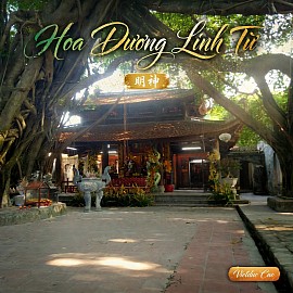 Văn H&oacute;a T&acirc;m Linh